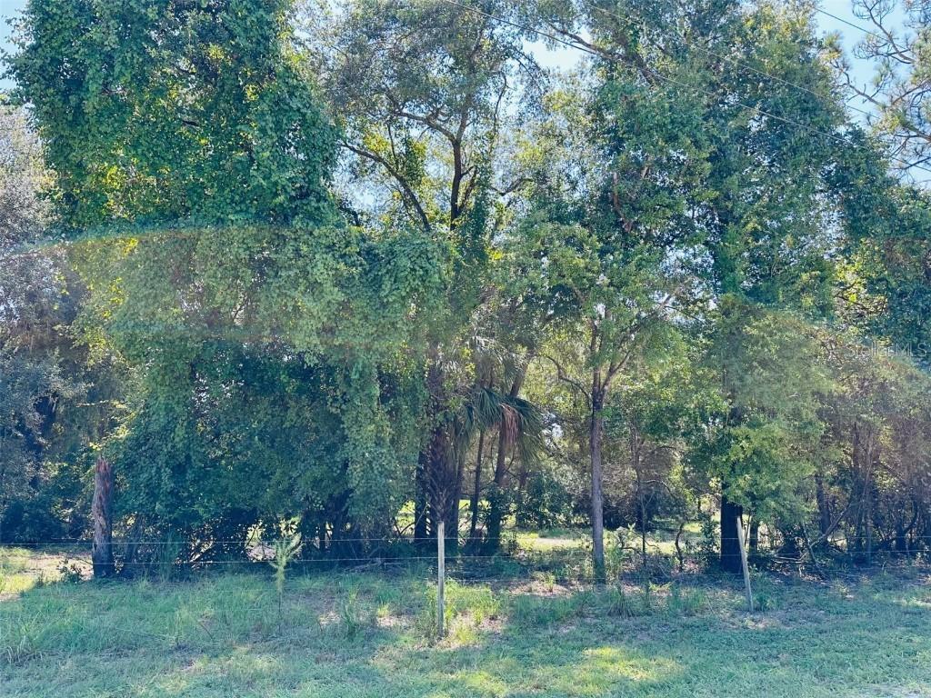 NW 100 Ave., Chiefland, FL 32626