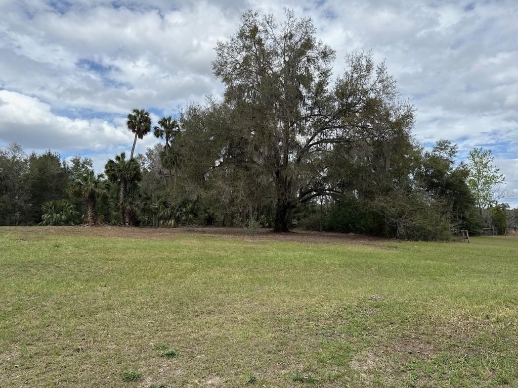 000 NE 184th Pl., Citra, FL 32113