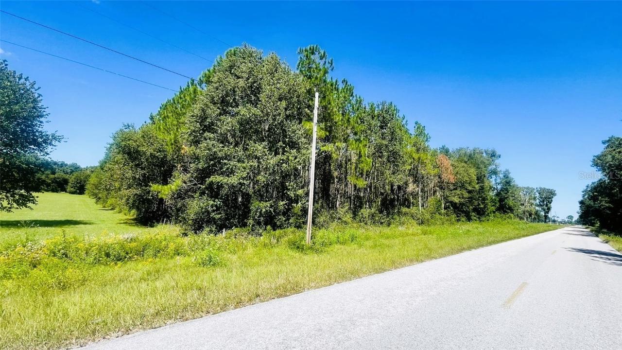 T/B/D NW 50th Ave, Trenton, FL 32693