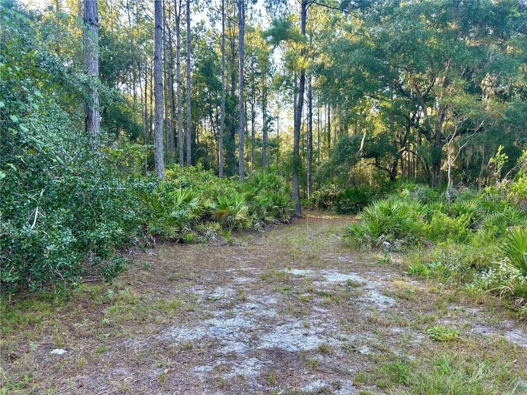 000000 SE 225th St., Hawthorne, FL 32640