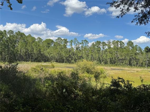 New Homes For Sale This Week in Orange Springs: September 19th to September 25th