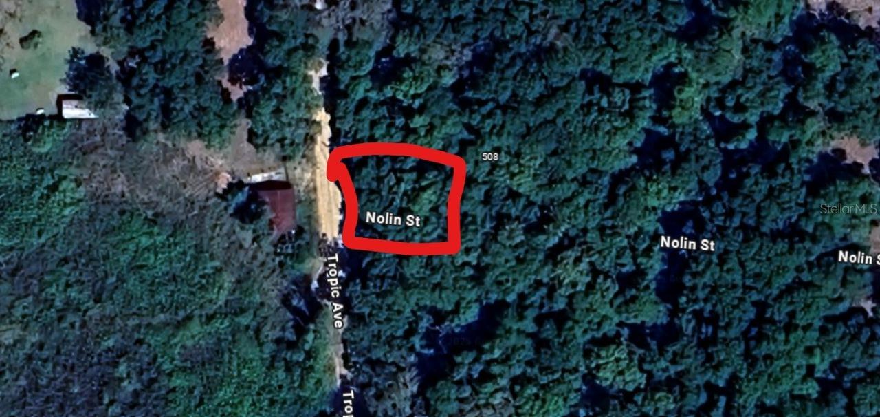 Tropic Ave, Interlachen, FL 32148