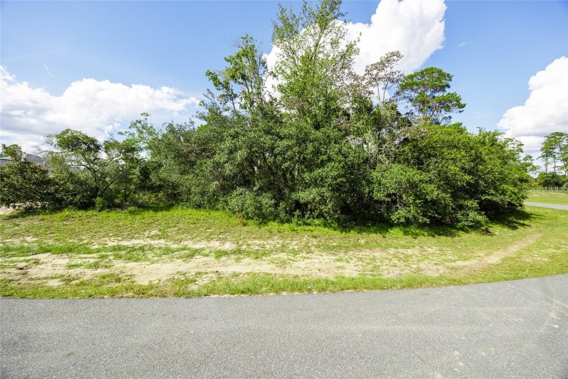 TBD SW 178th Lane Rd., Ocala, FL 34474