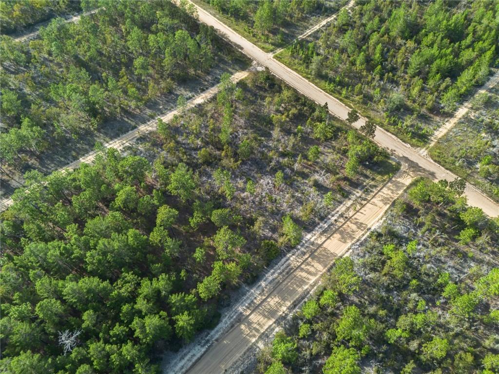 359 Dothan St., Interlachen, FL 32148