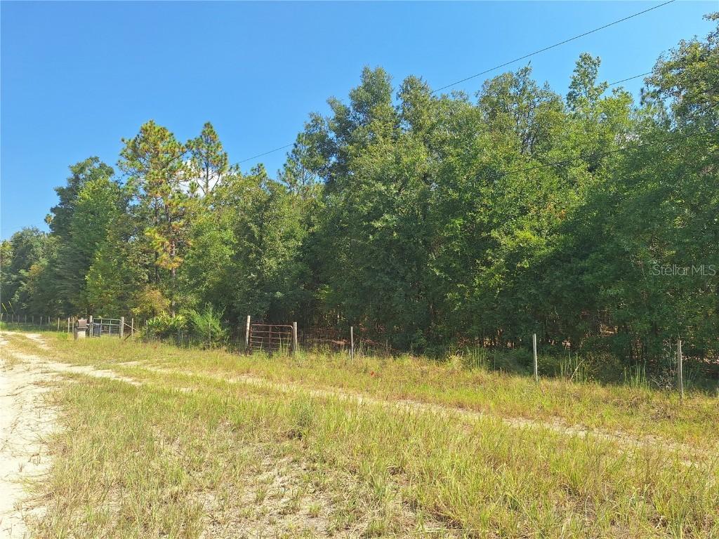 Lot 9 NW 73rd Way, Bell, FL 32619