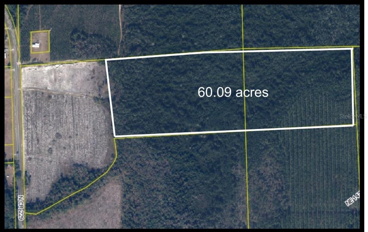 TBD N County Rd 229, Raiford, FL 32083