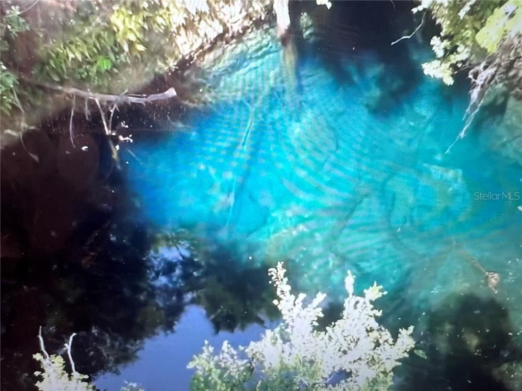 [Address Hidden by Seller], Williston, FL 32696