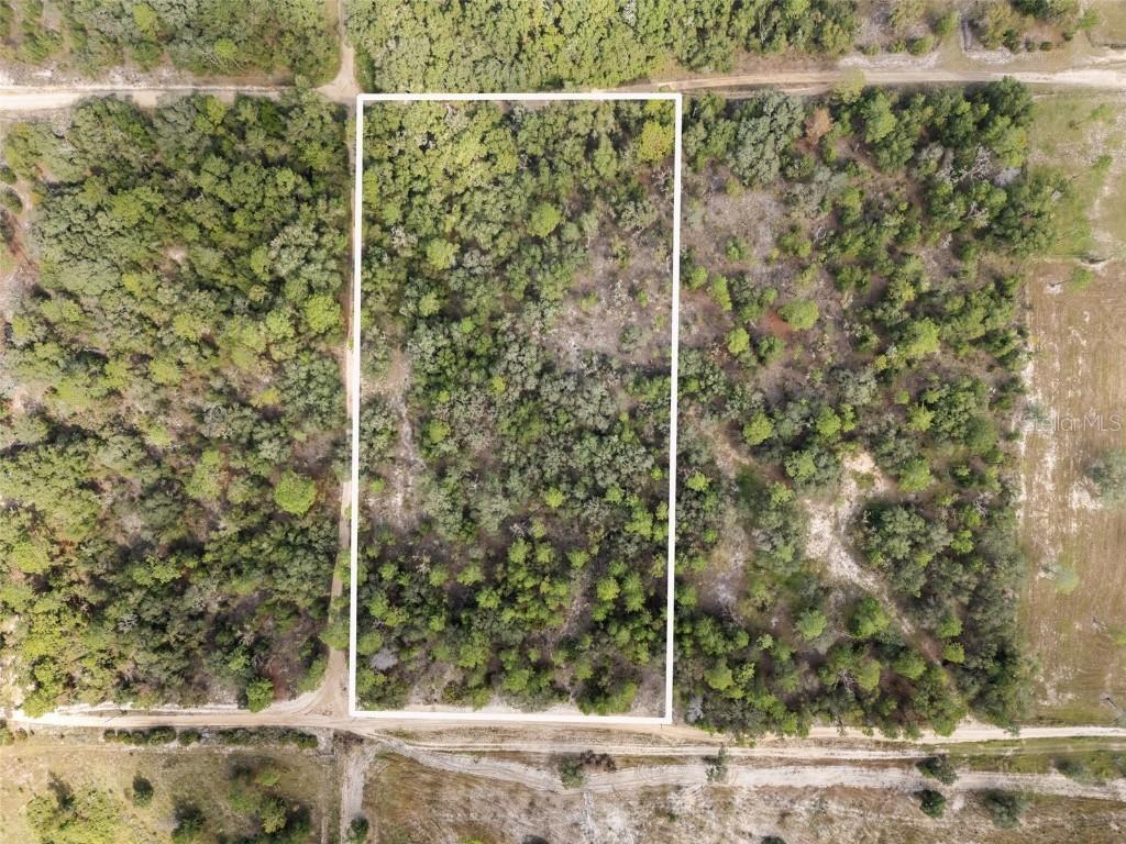NE 75 St., Bronson, FL 32621