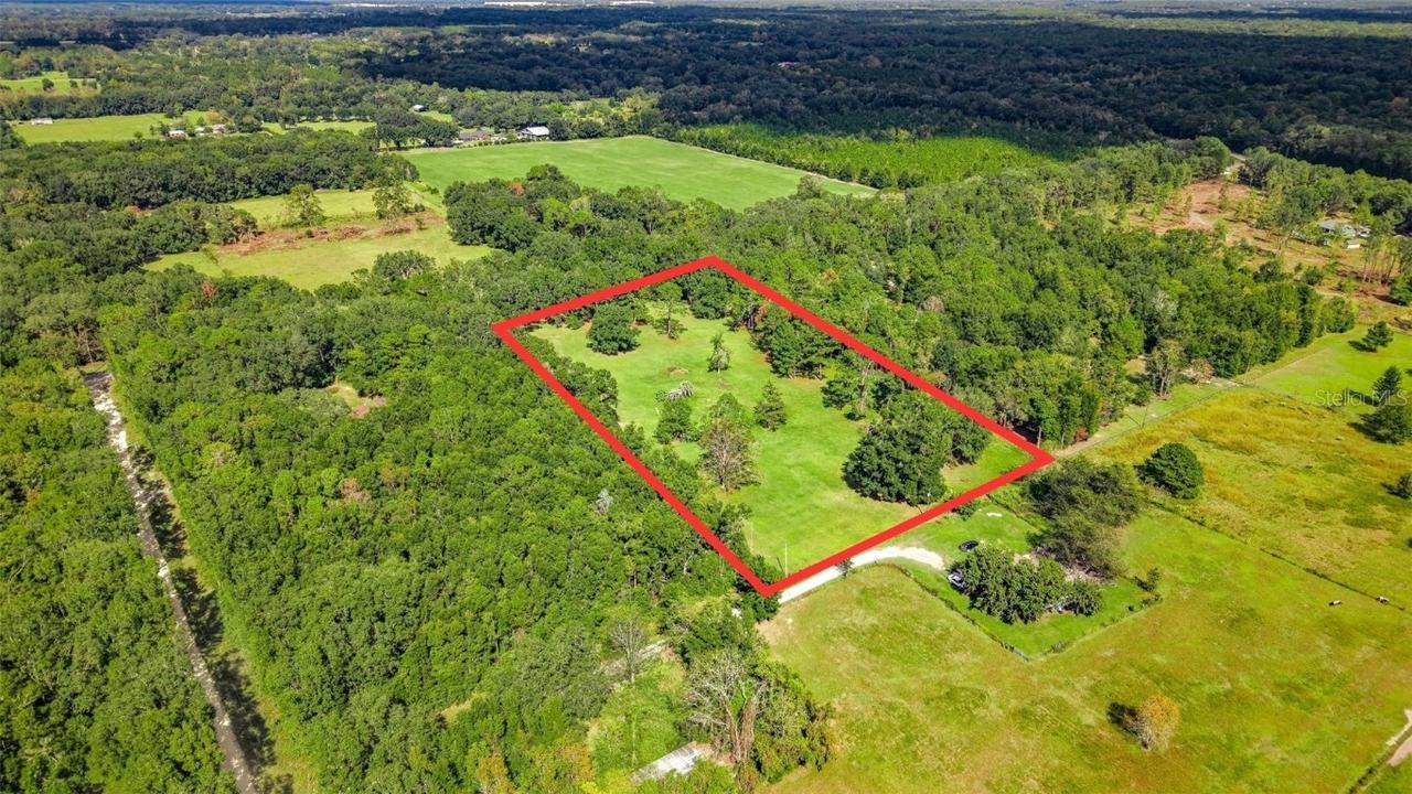 20815 NW 62nd Ave., Newberry, FL 32669