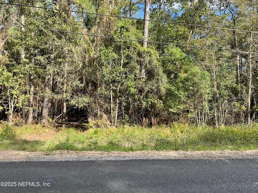 3089 Veronica Ave., Middleburg, FL 32068