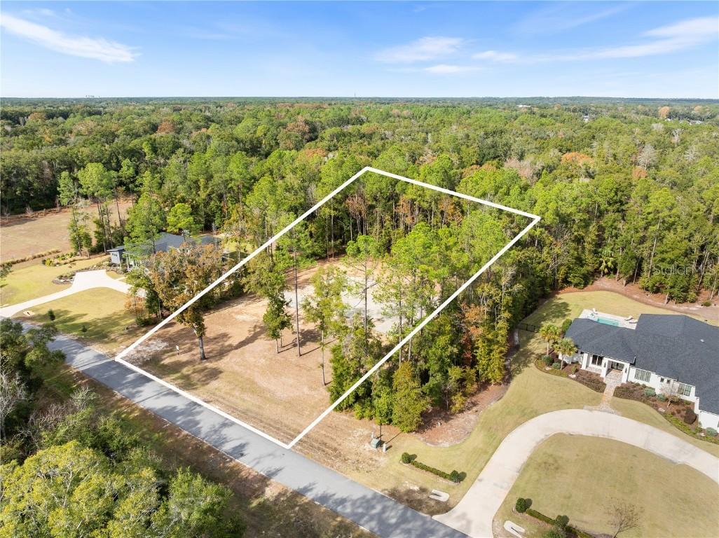 12364 SW 16th Ln., Newberry, FL 32669