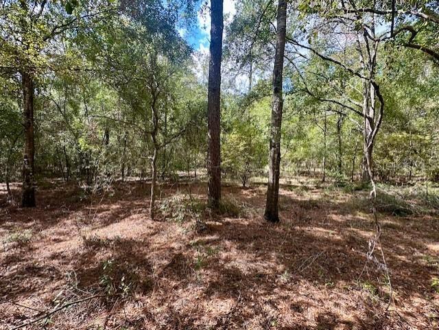 NW 13th Ter., Bell, FL 32619