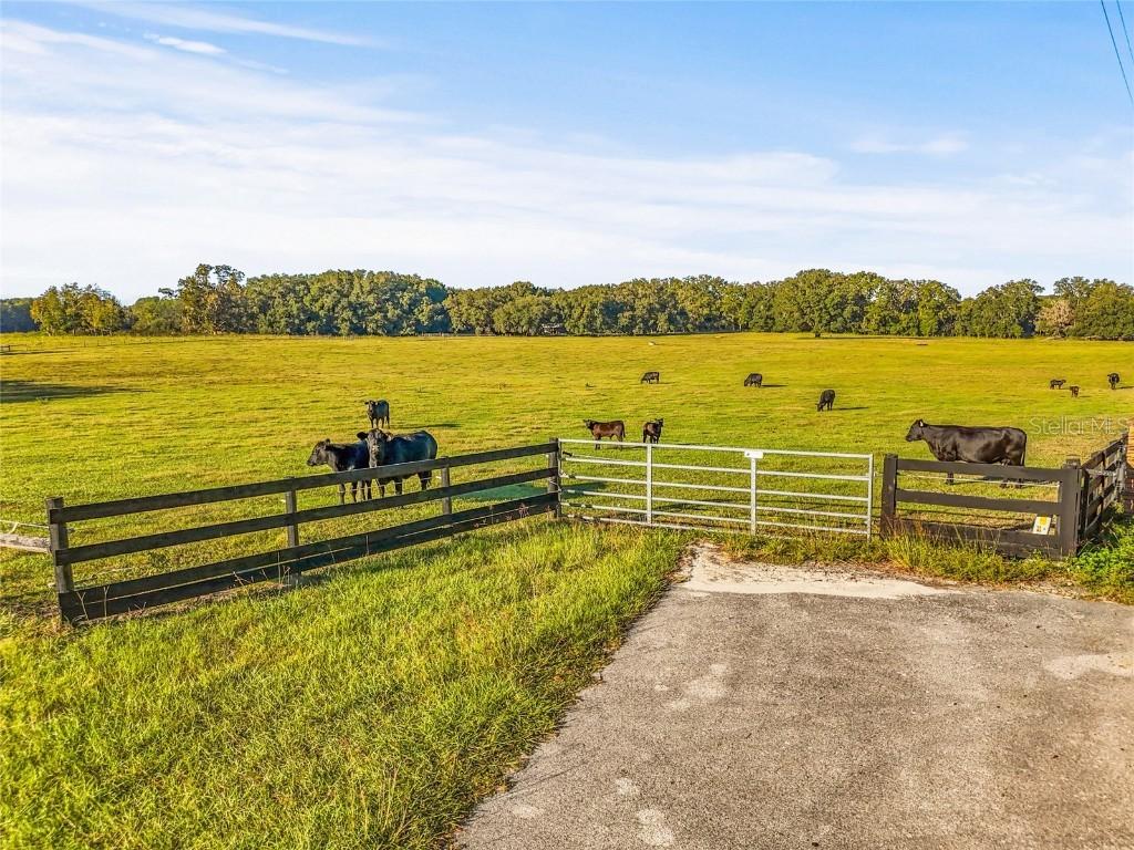 00 NW 232nd St., High Springs, FL 32643