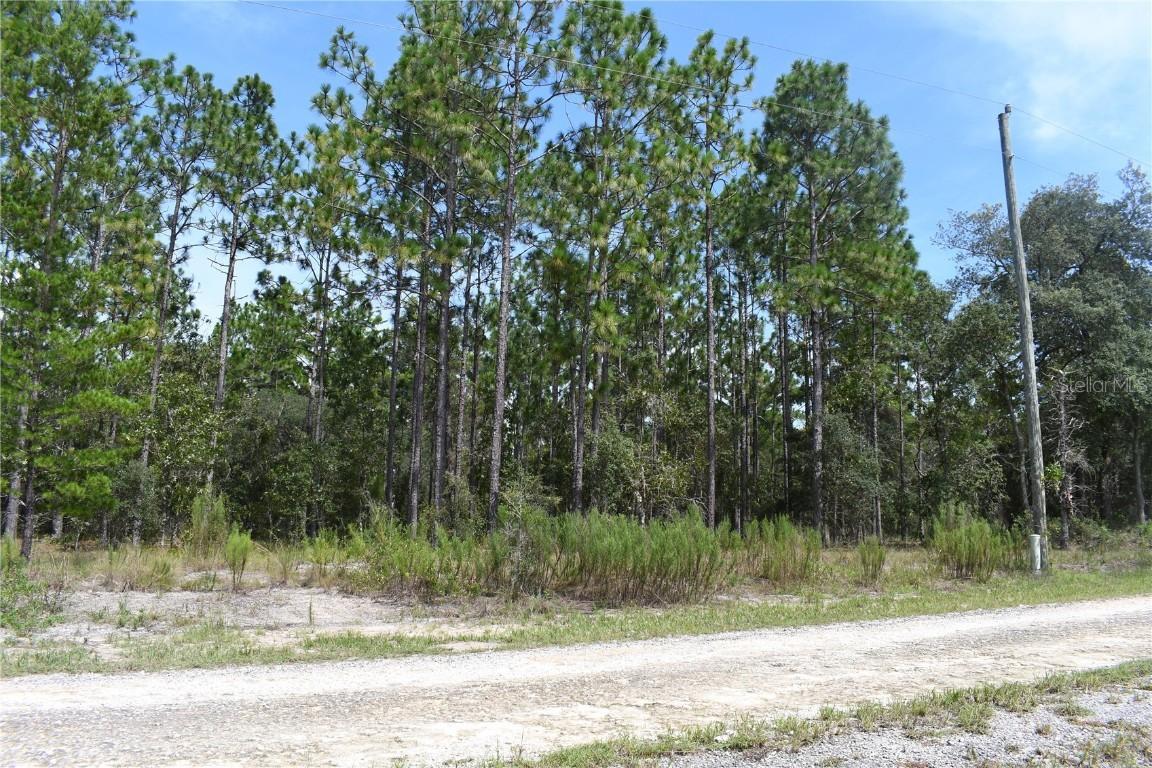 TBD SE 136th Ave., Dunnellon, FL 34431