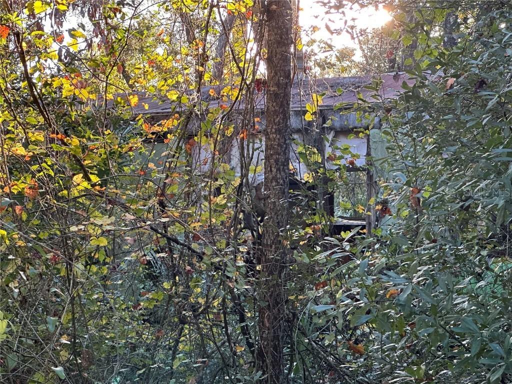 150 SE 926th St., Old Town, FL 32680