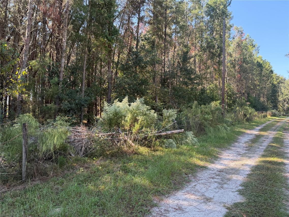 7818 NW State Road 45, High Springs, FL 32643