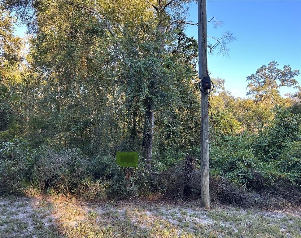 OOO SE 923rd St., Old Town, FL 32680