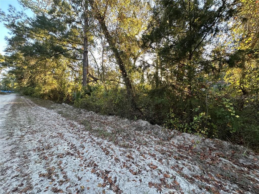 000 926th St., Old Town, FL 32680