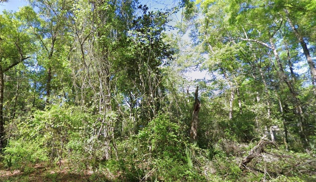 TBD SE 926th St St., Old Town, FL 32680