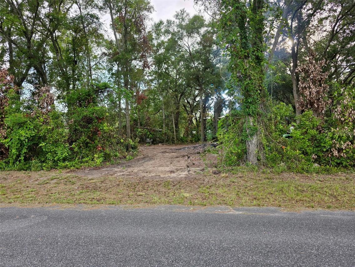 Lot 111 NW 70th Ave., Trenton, FL 32693