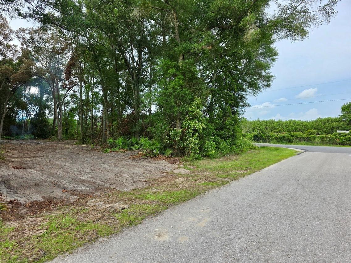 Lot 112 NW 70th Ave., Trenton, FL 32693
