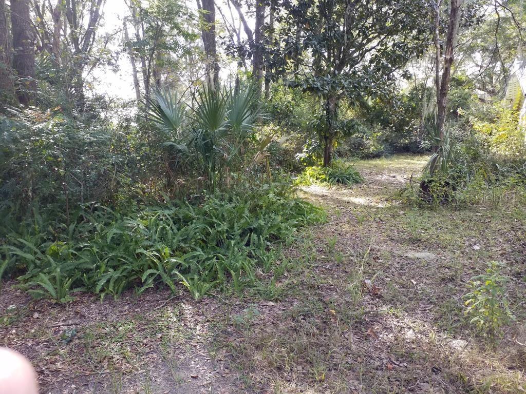 3 NE 5 St., Chiefland, FL 32626
