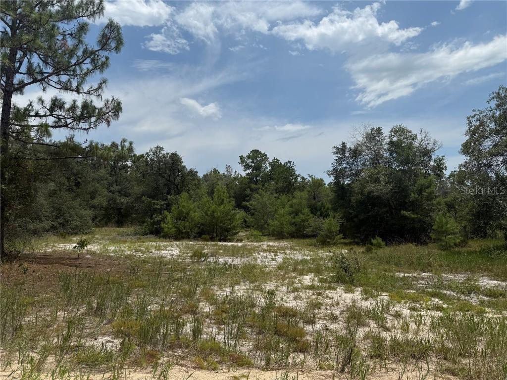 129 Viola Dr., Hawthorne, FL 32640