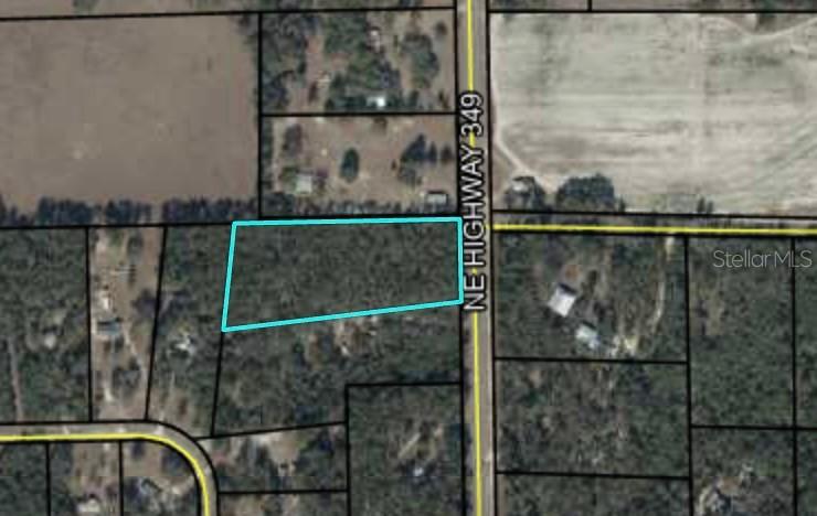 TBD NE 349 Hwy., Old Town, FL 32680