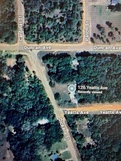 126 Yeatts Ave., Interlachen, FL 32148