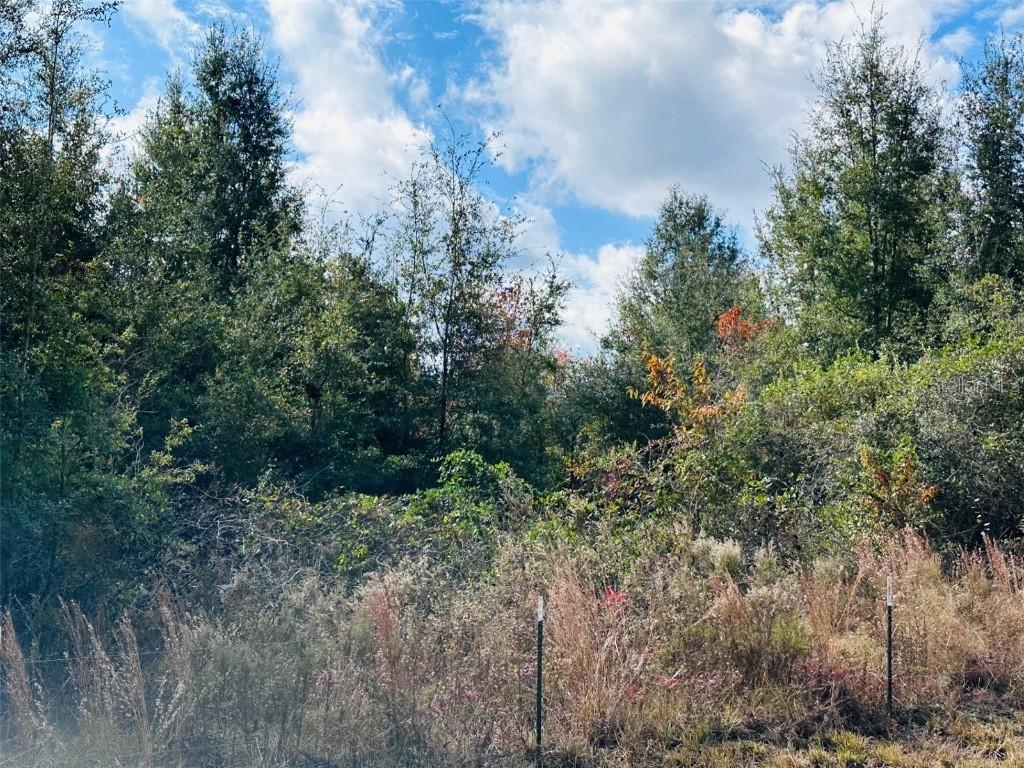 NW 126 St., Chiefland, FL 32626