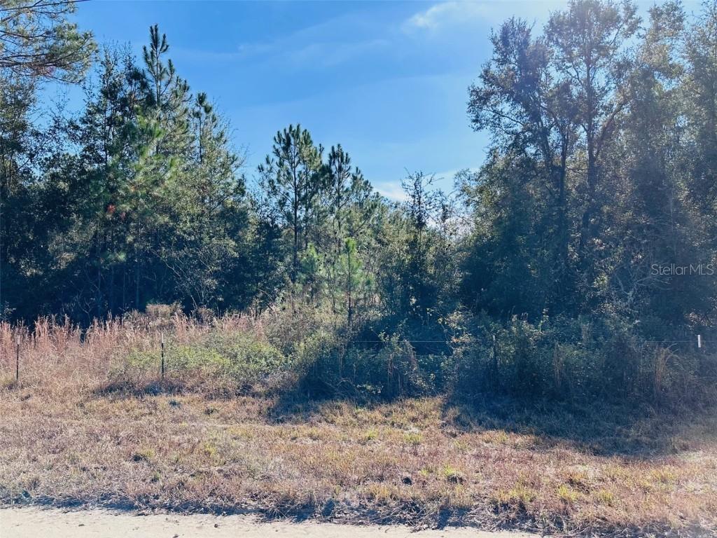 NW 126 St., Chiefland, FL 32626
