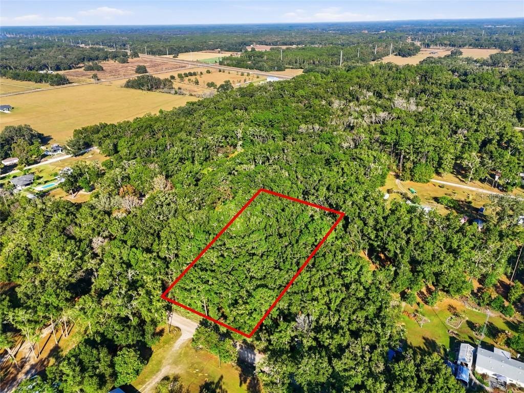 000 NE 40th St., Williston, FL 32696