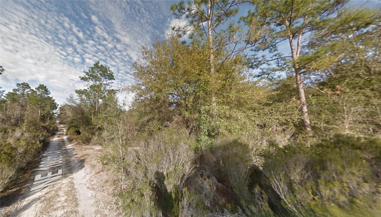 Lot 7 NE 100th Ct, Bronson, FL 32621