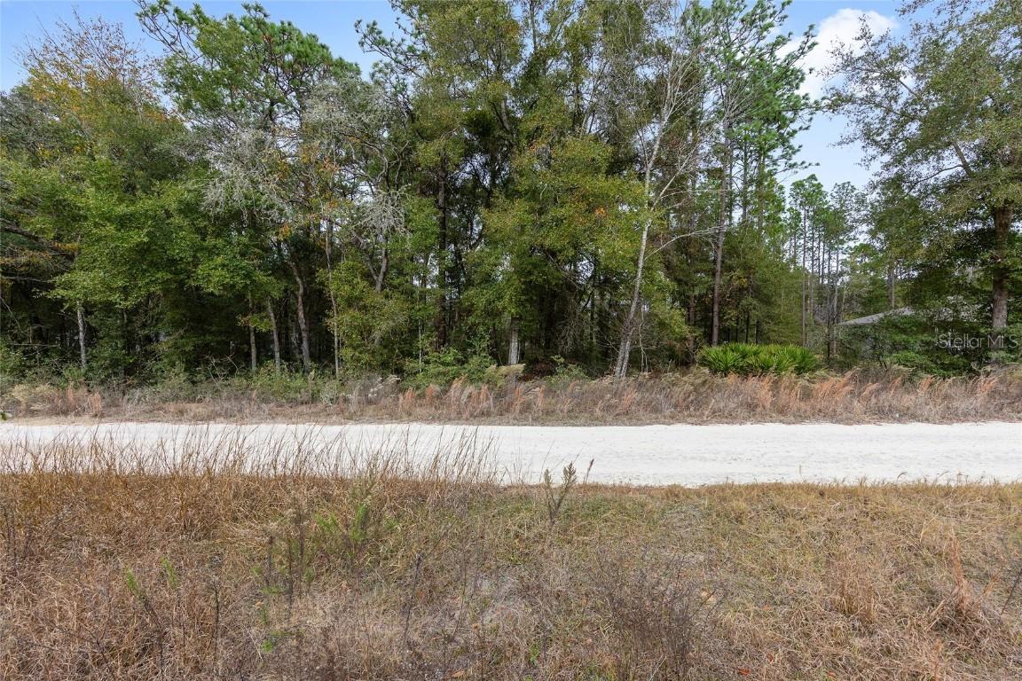000 SW 28th Ln., Ocala, FL 34481