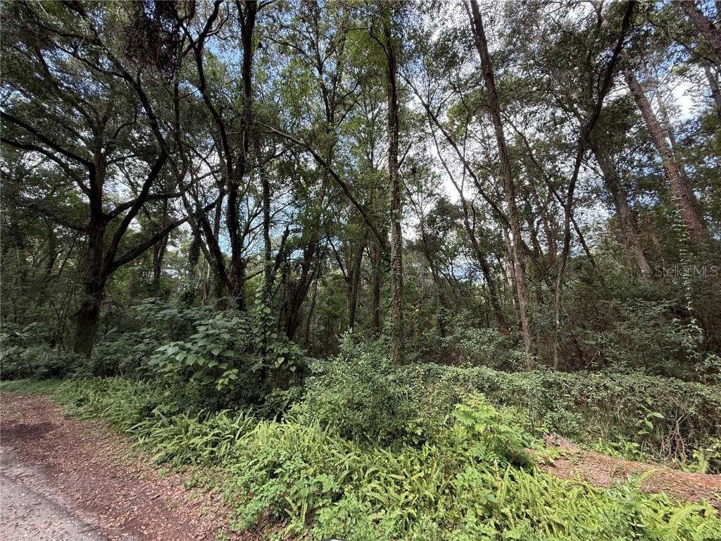 2460 SE 9th Pl., Gainesville, FL 32641