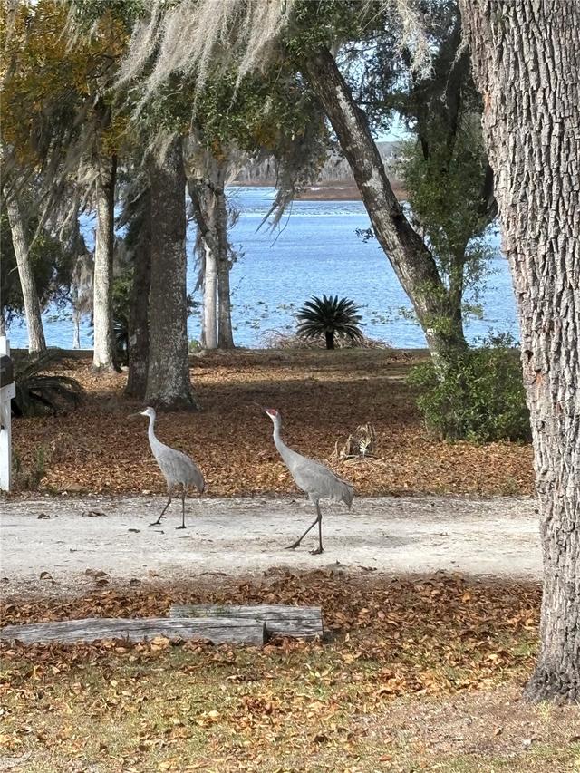 111 Little Orange Lake Dr., Hawthorne, FL 32640