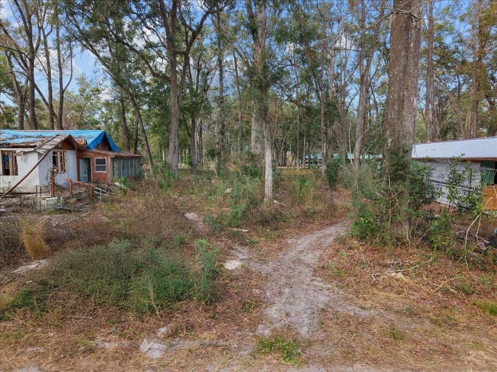 1254 NE 143rd Ave., Old Town, FL 32680