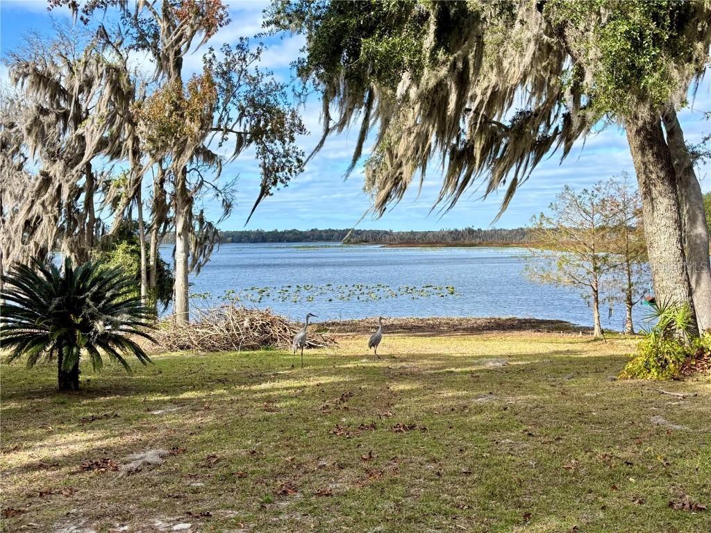 114 Little Orange Lake Dr., Hawthorne, FL 32640