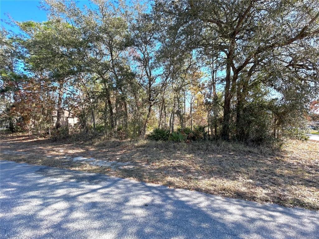 2 Dracaena Ct., Homosassa, FL 34446