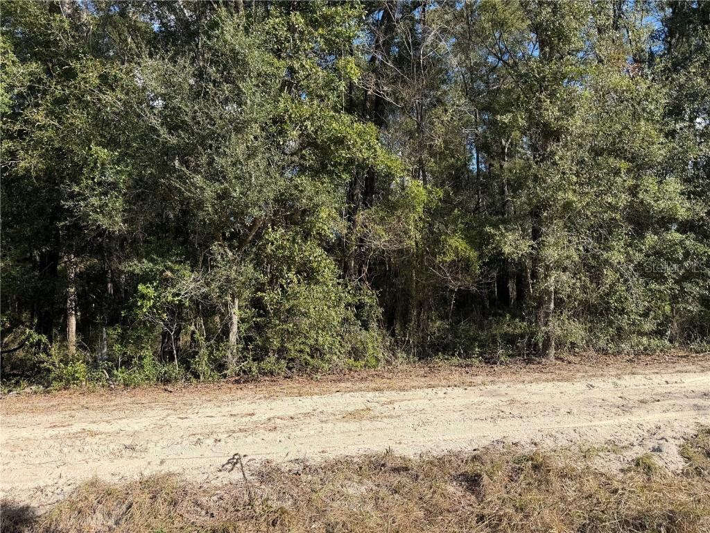 TBD Sw 134 Ter, Archer, FL 32618