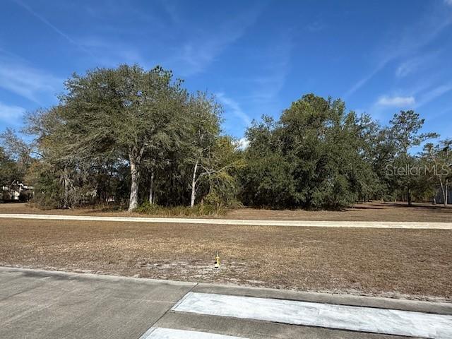 Lot 7 SW 39th Dr., Lake Butler, FL 32054