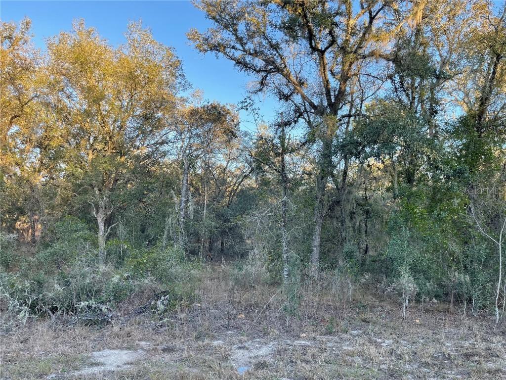 TBD SW Willow Rd, Dunnellon, FL 34431