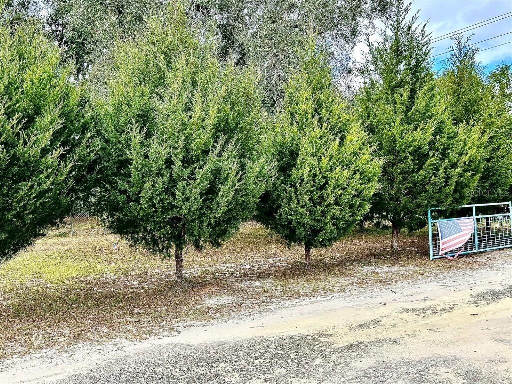 Nw 60th St, Chiefland, FL 32626