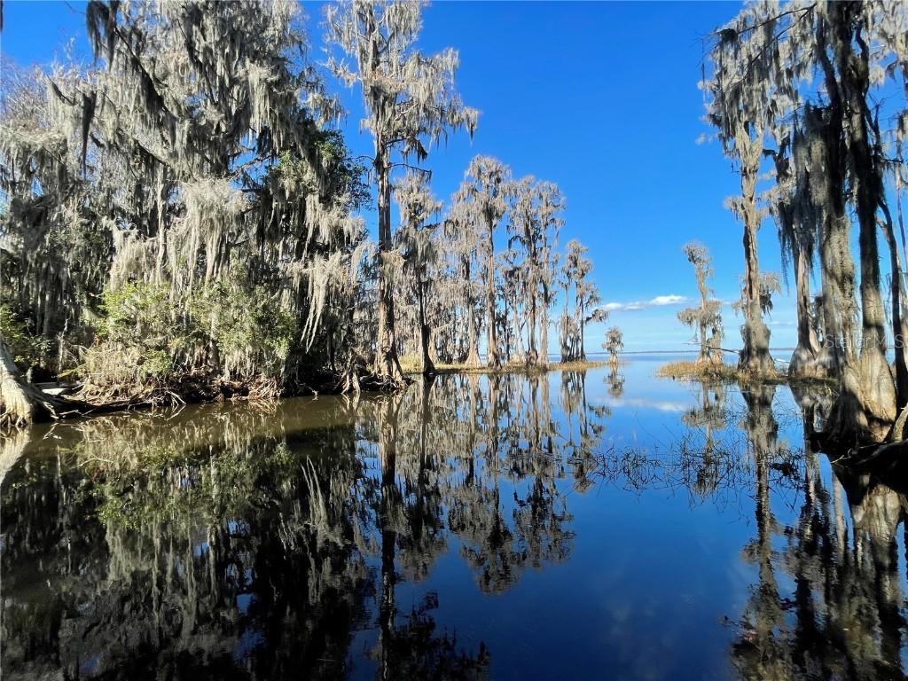 24510 Ne State Rd 26, Melrose, FL 32666