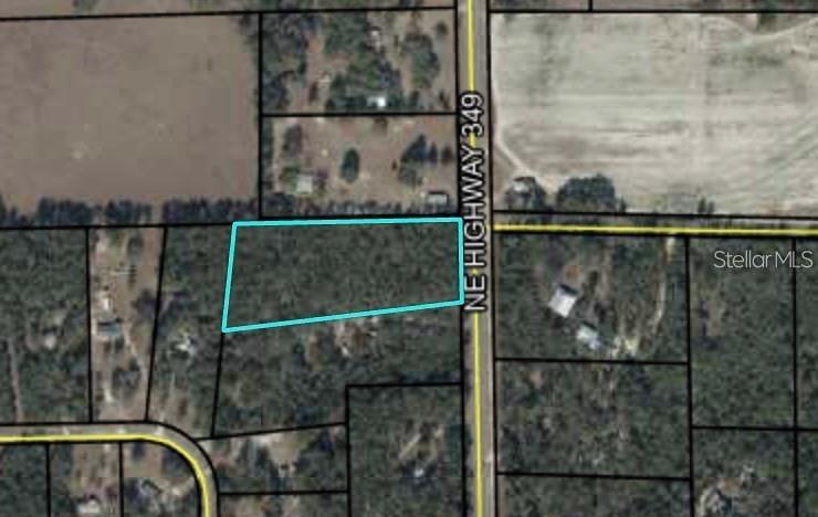 TBD NE 349 Hwy., Old Town, FL 32680