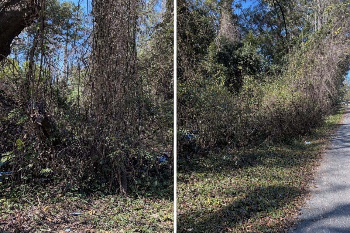 TBD NW 134 Ter., Alachua, FL 32615