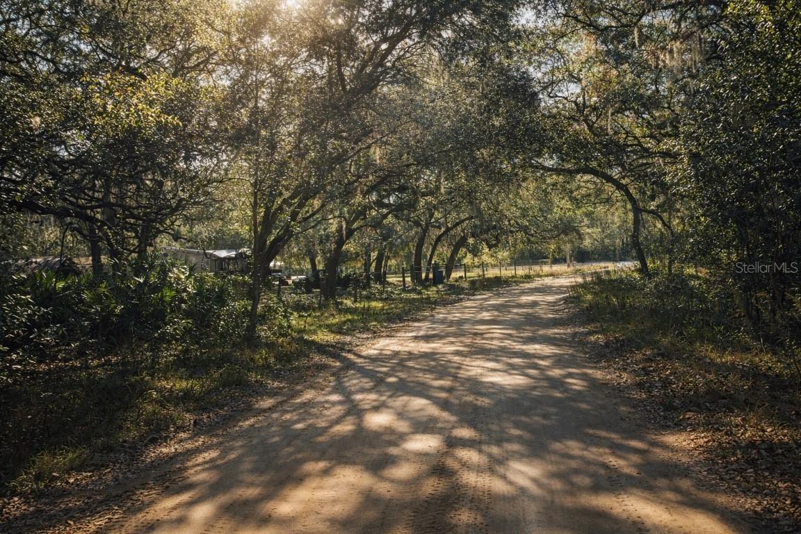 202 Mimosa Dr., Hawthorne, FL 32640