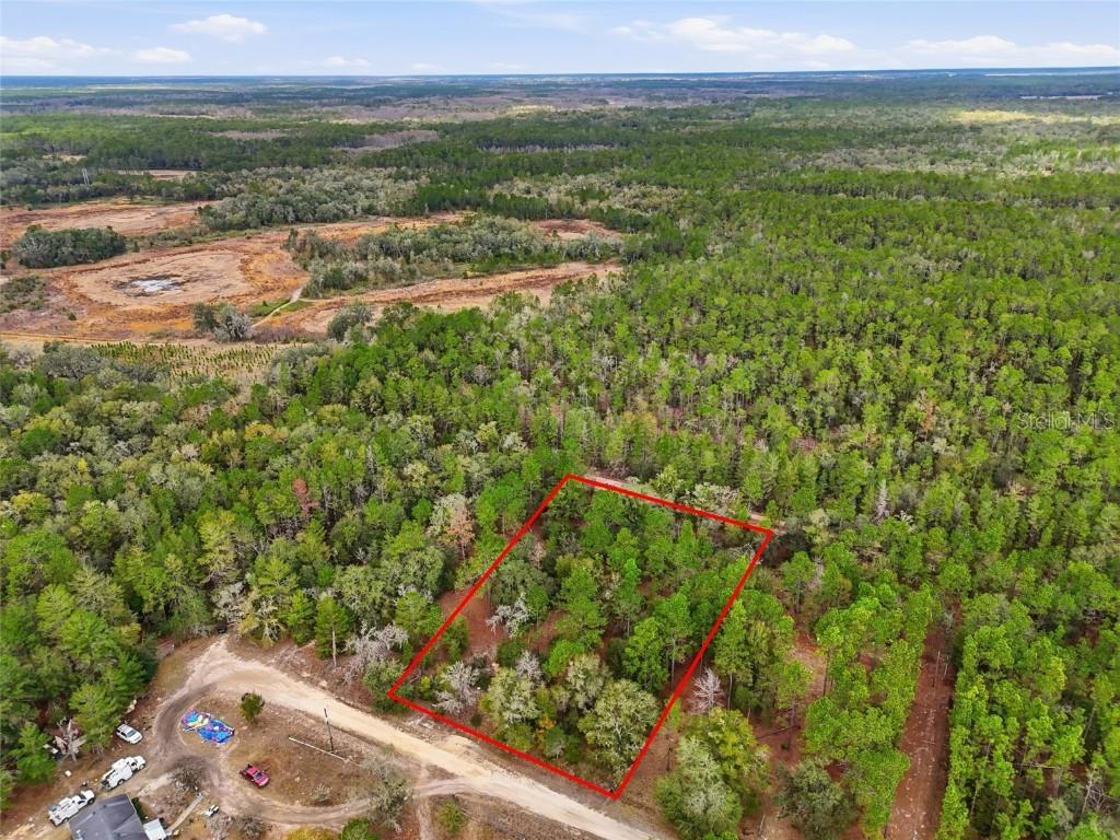 00 NE 111th Ln., Bronson, FL 32621