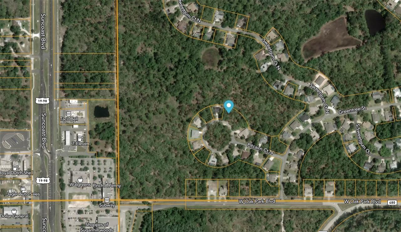 12 Pitcairn Ct., Homosassa, FL 34446