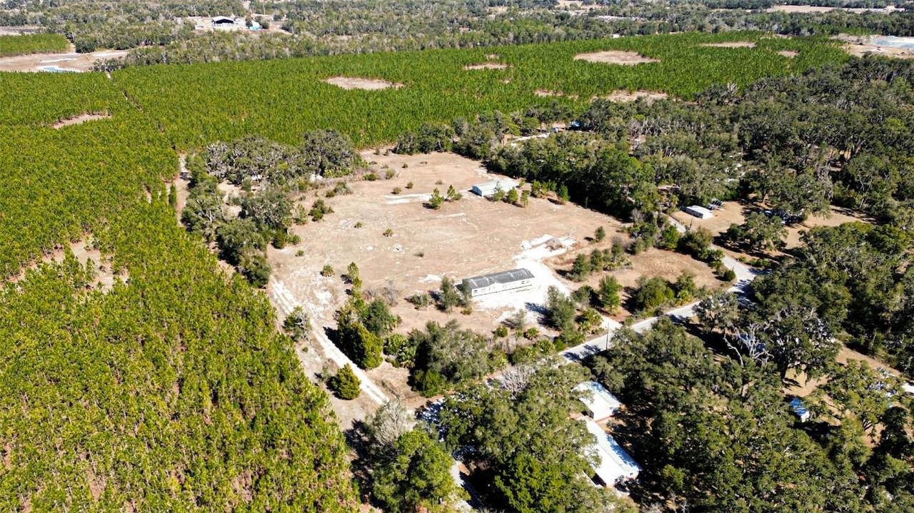 165 SE 122nd Ave., Old Town, FL 32680